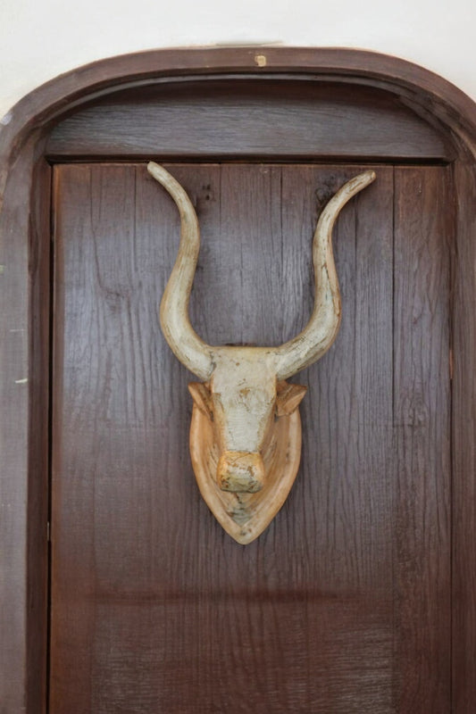 Wooden Carved Cow head Off white