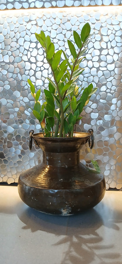 Planter (Brass)