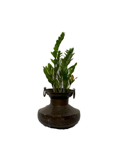 Planter (Brass)