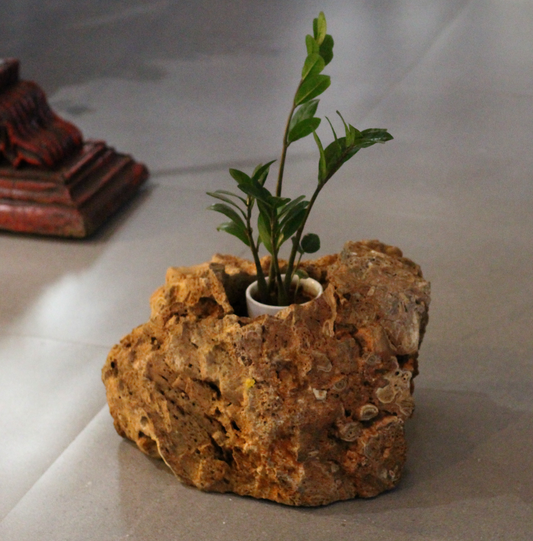 Planter (Volcanic Stone)